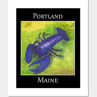 Rare purple lobster as you might find in a city like Portlan Maine Posters and Art